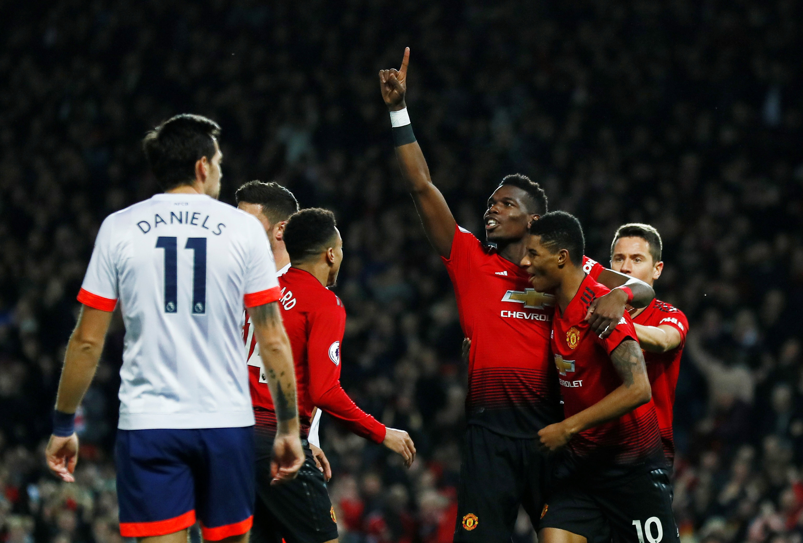 适应能力的 适应能力的