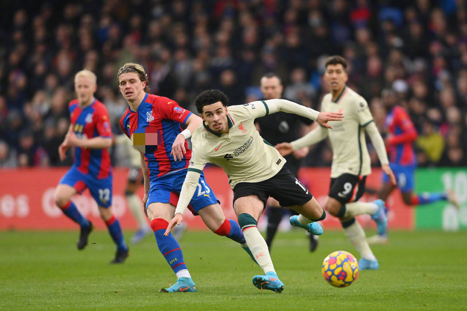 忆力和注意 忆力和注意